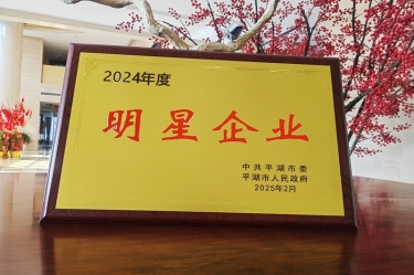 新春新景新氣象 | 景興紙業(yè)在平湖三干大會(huì)上喜摘榮譽(yù)！